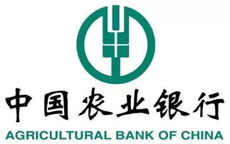 299元搶3d硬金福袋手串 這個周末不來金鷹你就虧了